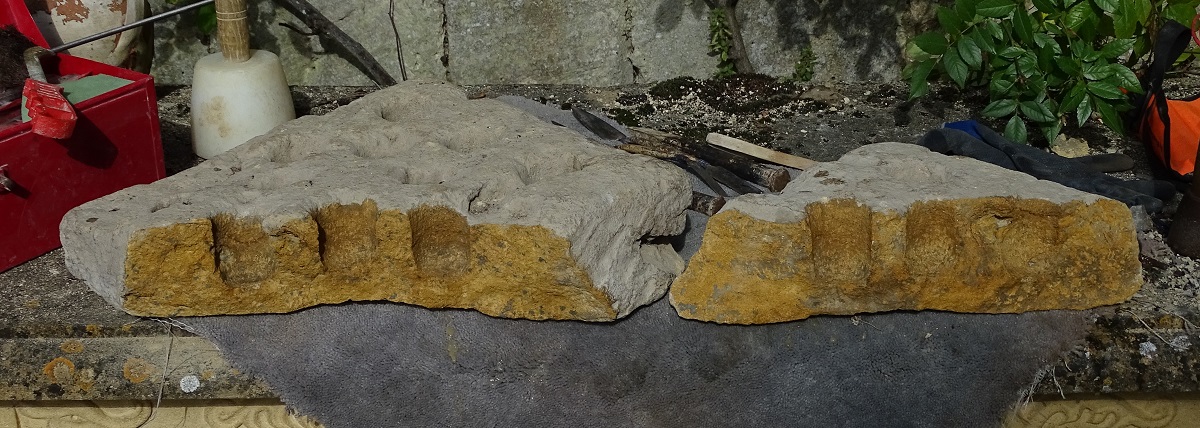 partly conserved